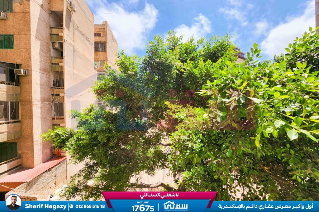 WhatsApp Image 2024-07-24 at 5.23.46 PM (4)