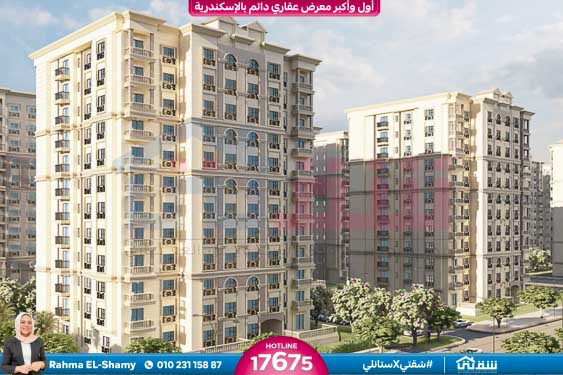 WhatsApp Image 2024-08-15 at 8.34.59 PM (2)