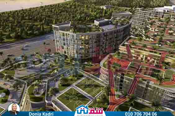 WhatsApp Image 2021-11-15 at 12.56.46 PM (2)