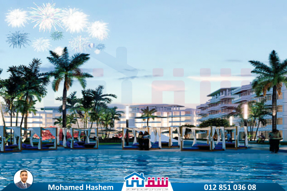 IMG-20241225-WA0013