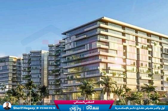 457143261_936641858497717_4190734054235641365_n