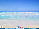 IMG-20241217-WA0020