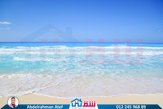 IMG-20241217-WA0020