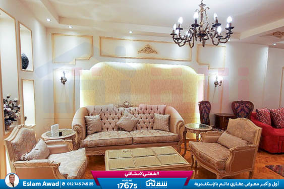 WhatsApp Image 2025-01-22 at 3.53.29 PM