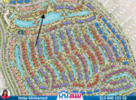 IMG-20250215-WA0006