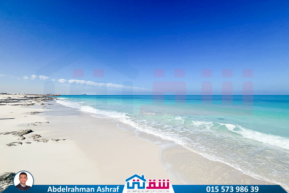 IMG-20250215-WA0032
