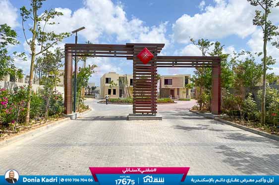 WhatsApp Image 2025-02-13 at 2.50.20 PM