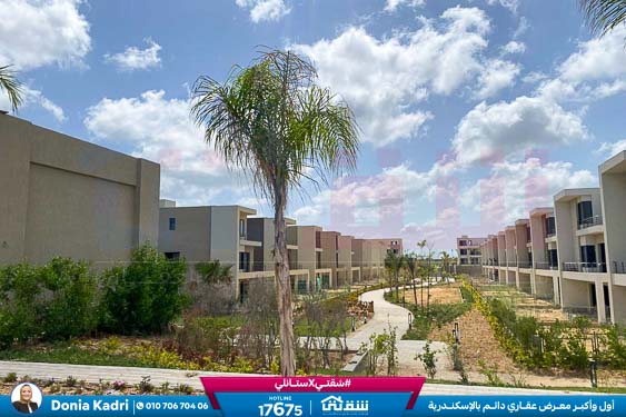 WhatsApp Image 2025-02-13 at 2.50.22 PM (2)