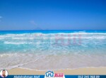 ce06a7a7-8560-4ec8-bd1d-b70e6707529d