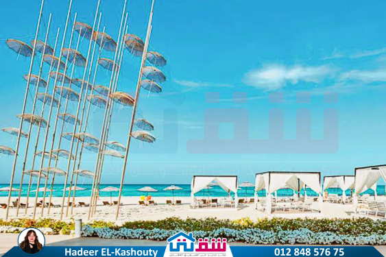 IMG-20250306-WA0012