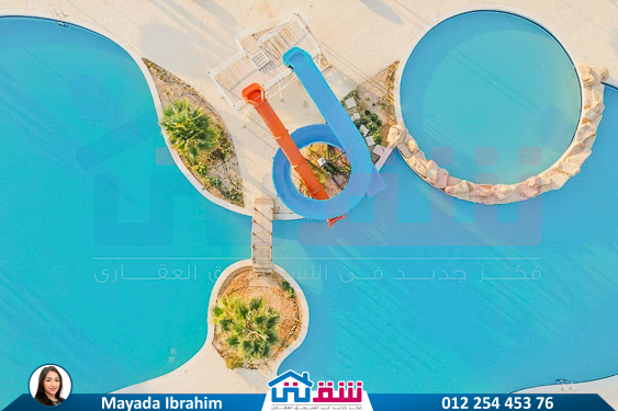 IMG-20250310-WA0088