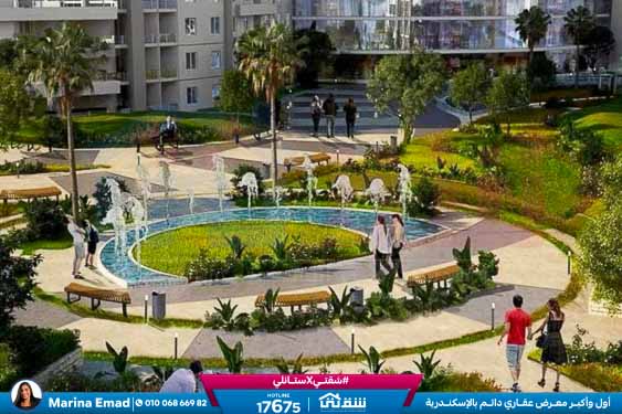 WhatsApp Image 2025-03-08 at 1.13.15 AM (1)