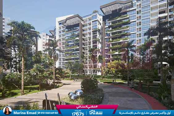 WhatsApp Image 2025-03-08 at 1.13.15 AM (2)