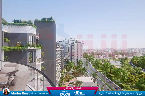 WhatsApp Image 2025-03-08 at 1.13.15 AM (3)