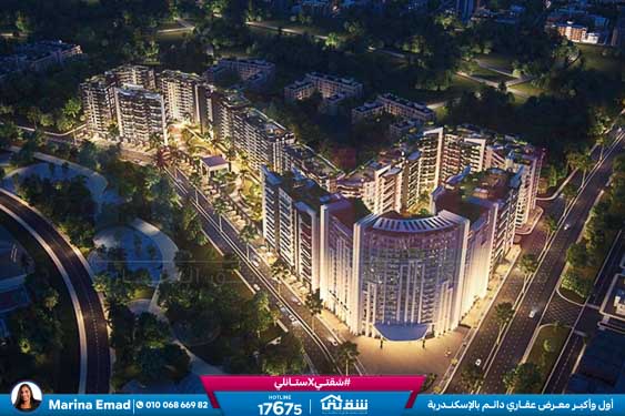 WhatsApp Image 2025-03-08 at 1.13.16 AM (1)