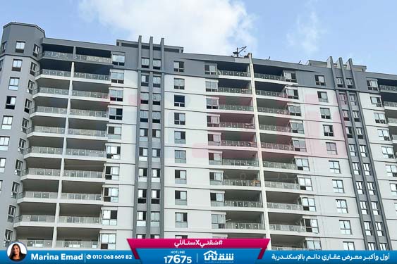 WhatsApp Image 2025-03-08 at 1.13.16 AM