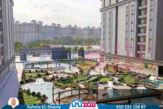 WhatsApp Image 2025-08-17 at 3.05.43 PM