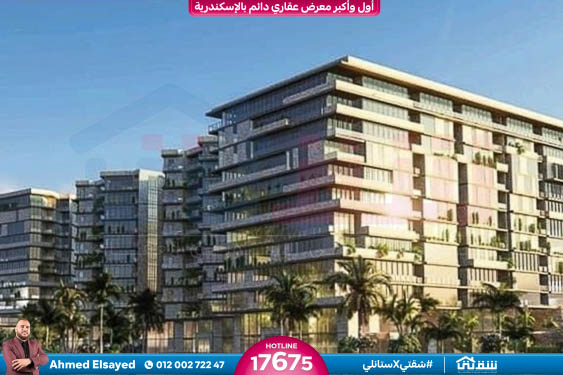 457143261_936641858497717_4190734054235641365_n