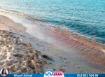 IMG-20250417-WA0019