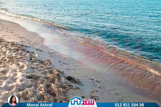IMG-20250417-WA0019