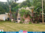 IMG-20250417-WA0046