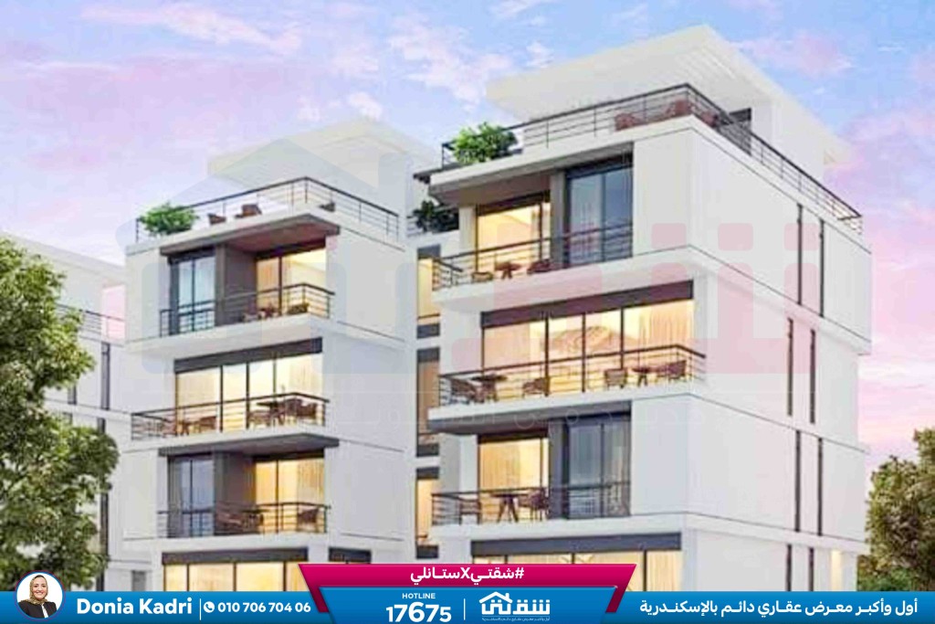 WhatsApp Image 2024-12-06 at 3.41.31 AM