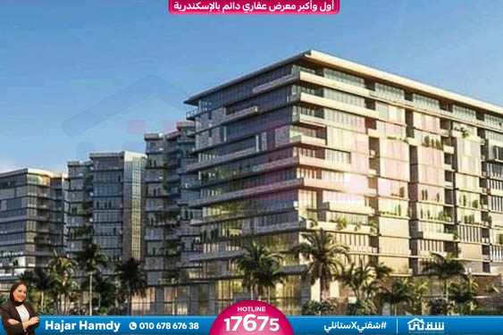 457143261_936641858497717_4190734054235641365_n