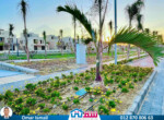IMG-20250128-WA0001