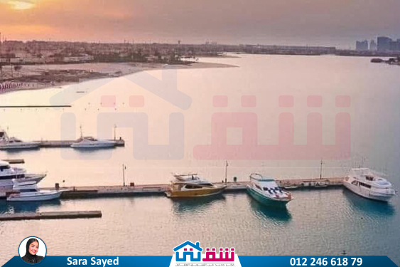 IMG-20250423-WA0010