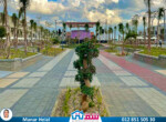 IMG-20250508-WA0009