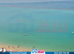 IMG-20250514-WA0005