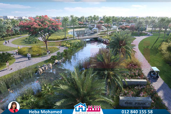 IMG-20250514-WA0008