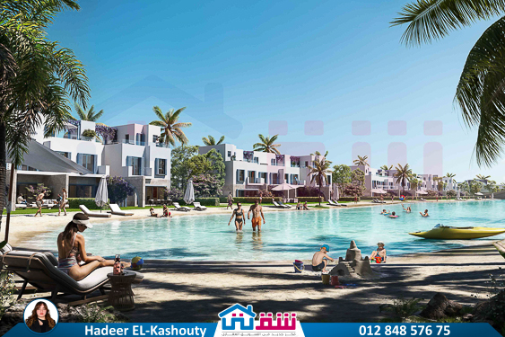 Pelagio Type D View_