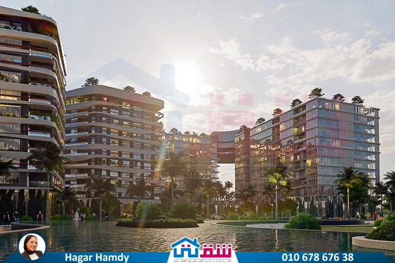 WhatsApp Image 2021-11-15 at 12.56.48 PM