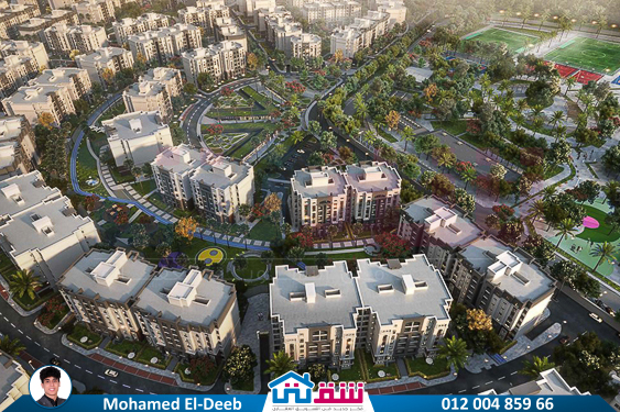 WhatsApp Image 2024-08-12 at 9.46.13 AM