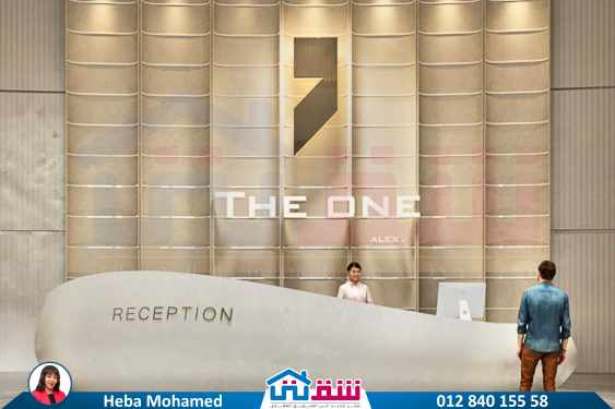 WhatsApp Image 2024-10-26 at 2.47.35 AM