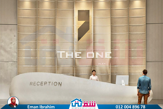 WhatsApp Image 2024-10-26 at 2.47.35 AM