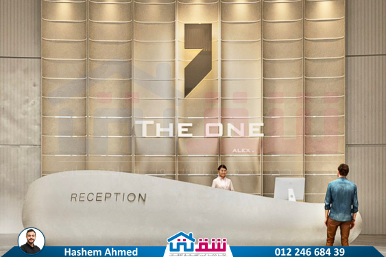 WhatsApp Image 2024-10-26 at 2.47.35 AM