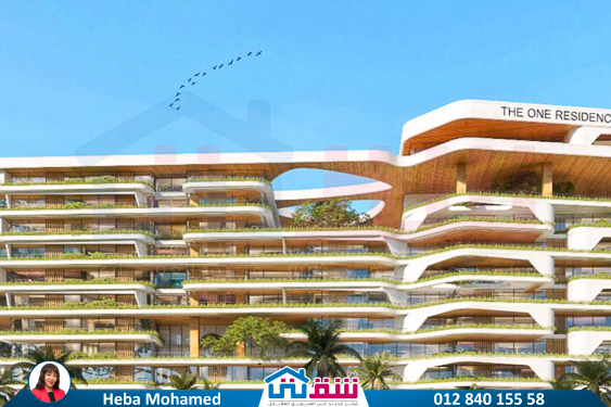 WhatsApp Image 2024-11-20 at 8.29.36 PM (2)