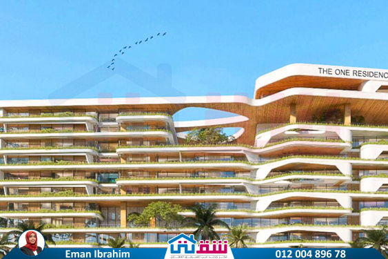 WhatsApp Image 2024-11-20 at 8.29.36 PM (2)