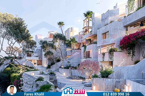 WhatsApp Image 2025-01-09 at 11.37.14 AM (2)