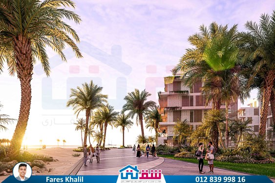 WhatsApp Image 2025-01-09 at 11.37.18 AM