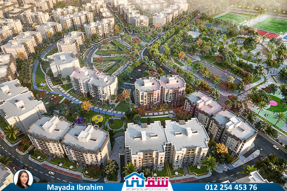 WhatsApp Image 2025-02-08 at 2.42.23 PM