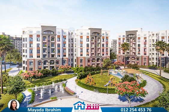 WhatsApp Image 2025-02-08 at 2.42.24 PM