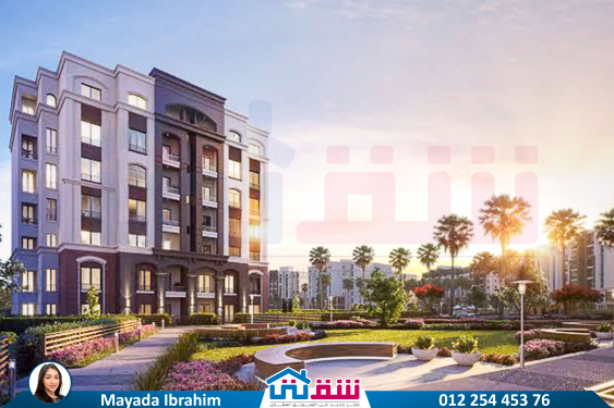 WhatsApp Image 2025-02-08 at 2.42.25 PM