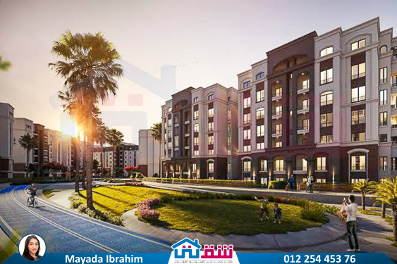 WhatsApp Image 2025-02-08 at 2.44.33 PM