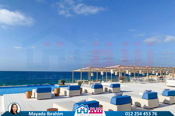 WhatsApp Image 2025-04-30 at 2.41.37 PM