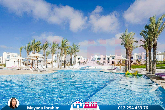 WhatsApp Image 2025-04-30 at 2.41.40 PM