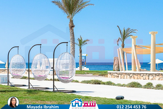 WhatsApp Image 2025-04-30 at 2.41.46 PM (2)