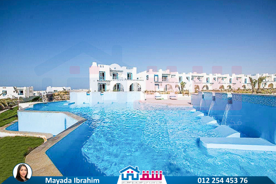 WhatsApp Image 2025-04-30 at 2.41.46 PM